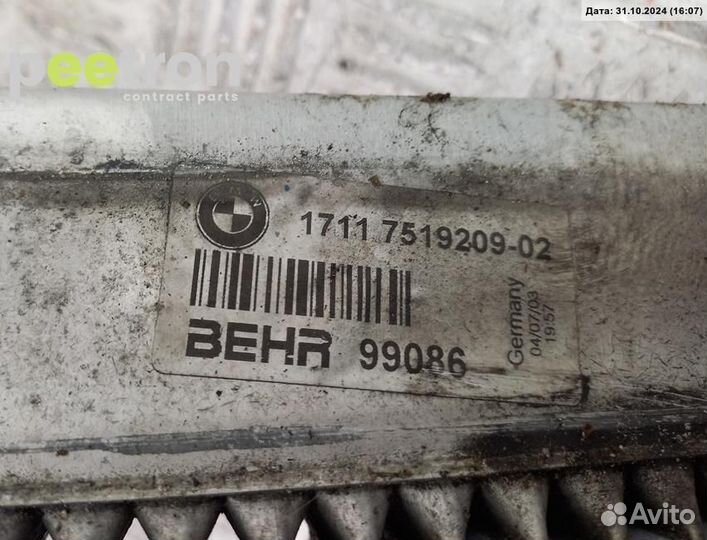 Б/У Б/У Радиатор основной behr 17117519209 BMW