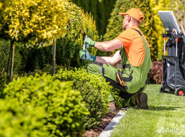 Требуется садовник-дворник