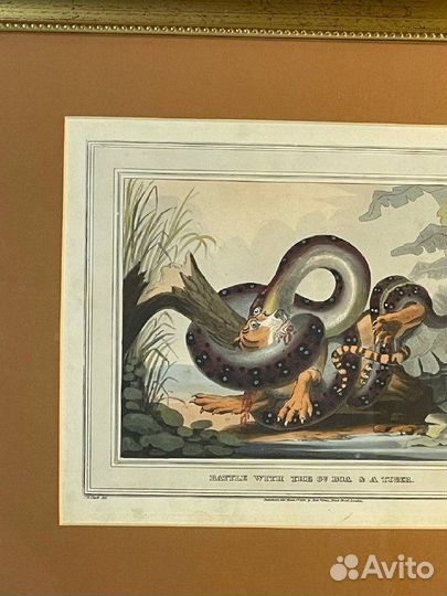 Антикварная гравюра