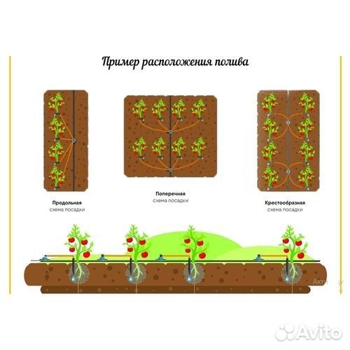 Капельный полив Синьор Помидор про на 72 растения