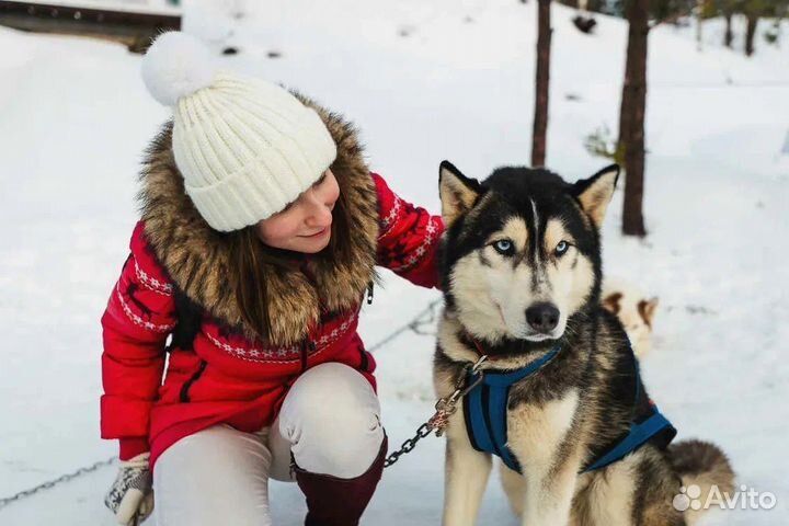 Из Петрозаводска в гости к Деду Морозу