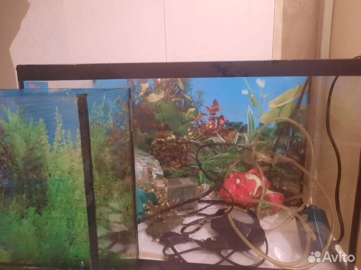 Аквариум