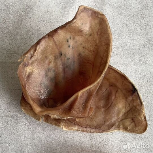 Натуральные лакомства для собак