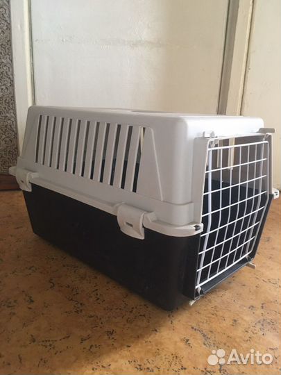Переноска для животных в аренду