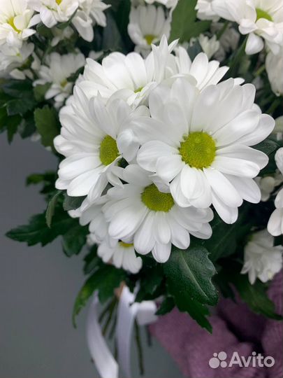 Букет из 9-ти кустовых ромашковых хризантем