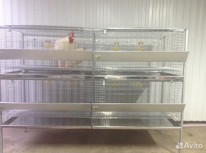 Клетка для кур на 60 голов