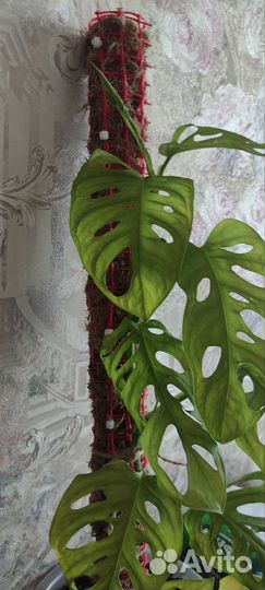 Изготовление Тотема для растений