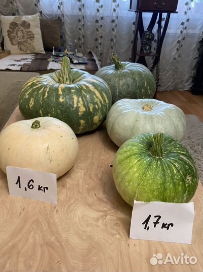 Тыква желтая зеленая