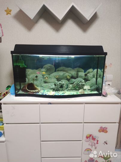 Аквариум с рыбками