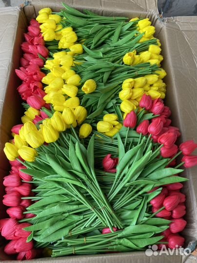 Тюльпаны 30р