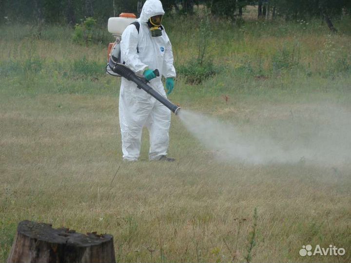Дезинфекция