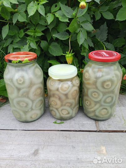 Продам соленые грузди