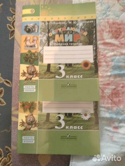 Рабочие тетради по окружающему миру 3 класс