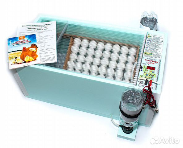 Инкубатор для яиц блиц