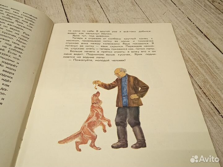 Лисичкин хлеб. Пришвин 1973