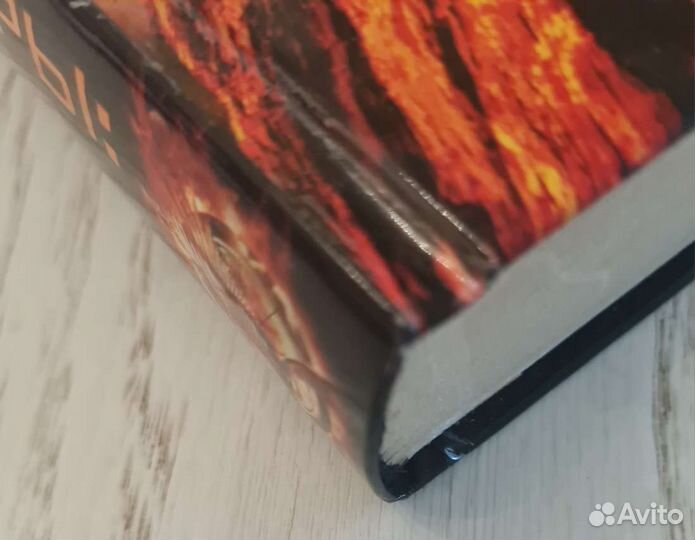 Книга голодные игры: И вспыхнет пламя