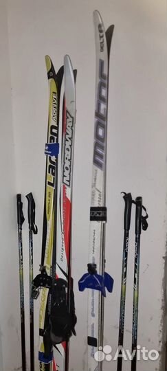 Беговые лыжи