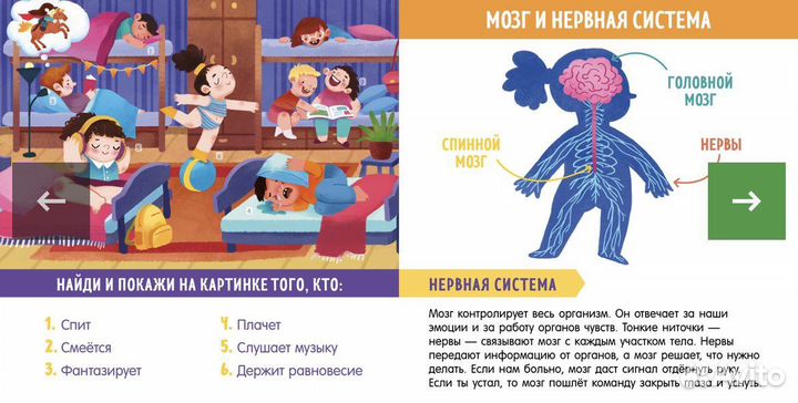 Новая книга по изучению тела