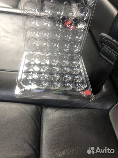 Лотки для перепелиных яиц