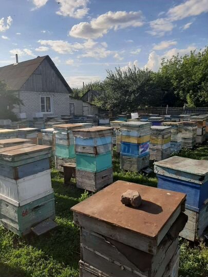 Дом 41,9 м² на участке 50 сот.