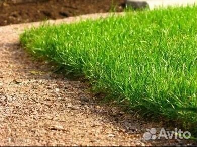 Гидропосев