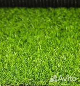 Газон рулонный гарантия