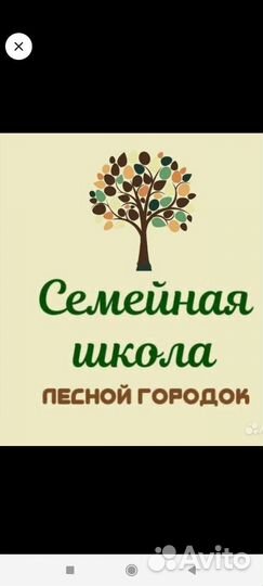 Учитель начальных классов