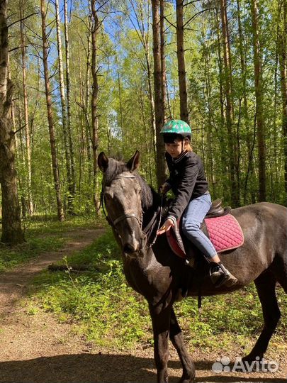 Конные прогулки