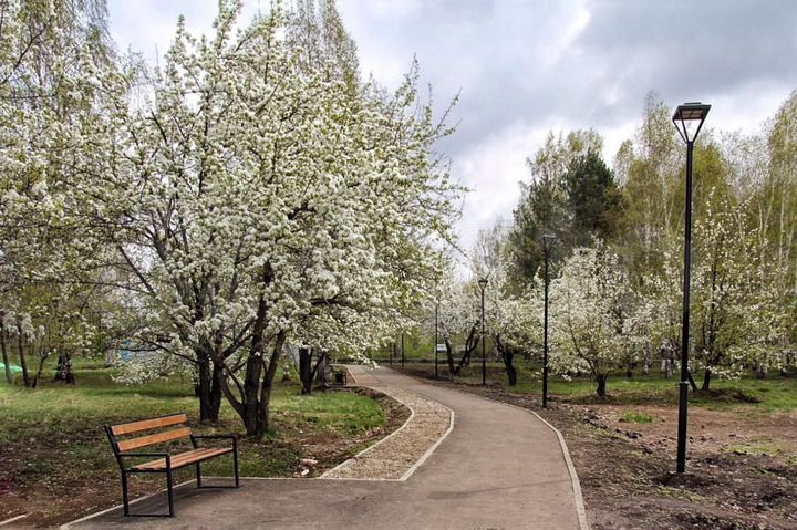 3-к. квартира, 71 м², 1/9 эт.