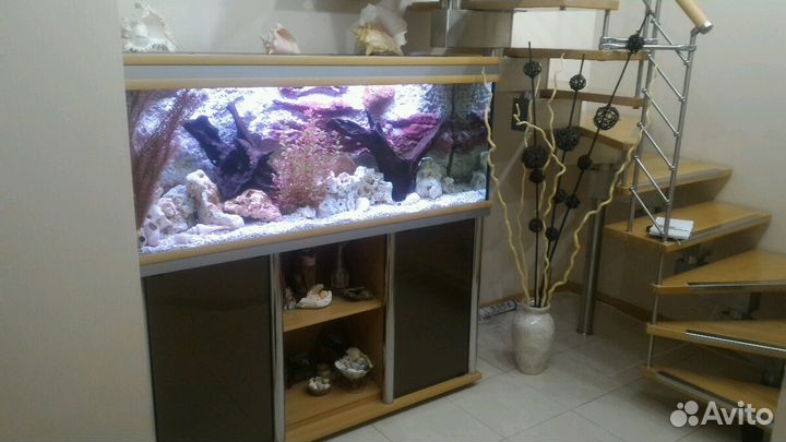 Обслуживание аквариумов