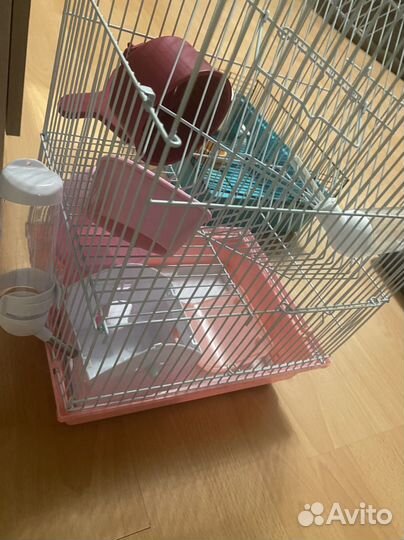 Клетки для грызунов