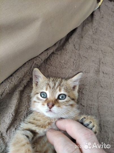 Мальчик 1,5 месяцев