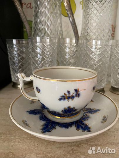 Синий барбарис