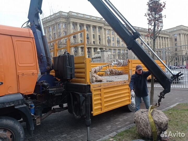 КАМАЗ 4308 с КМУ, 2007