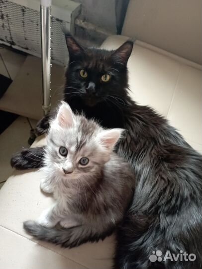 Готовы к переезду