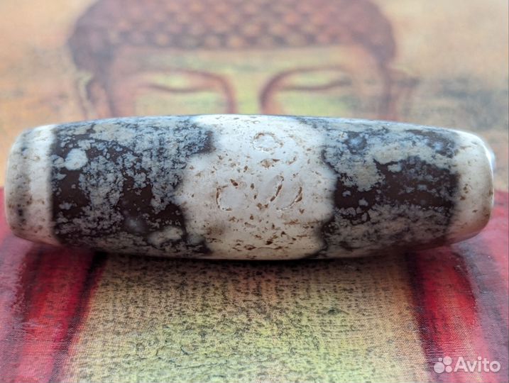 Дзи Насекомое