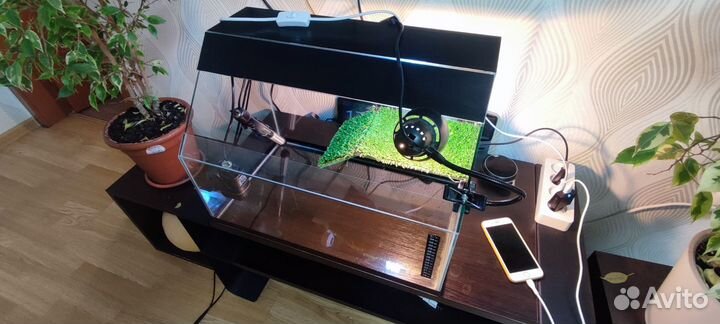 Аквариум для красноухой черепахи