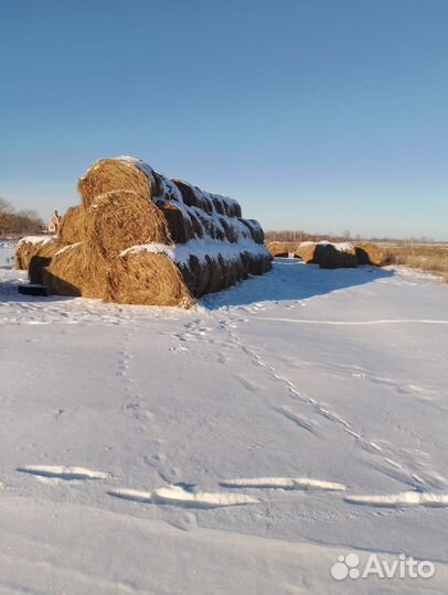 Продаётся сено