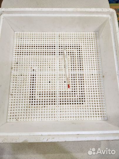 Инкубатор для яиц