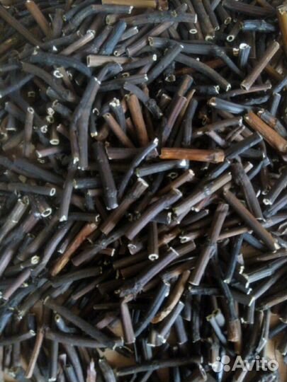 Сабельник корень