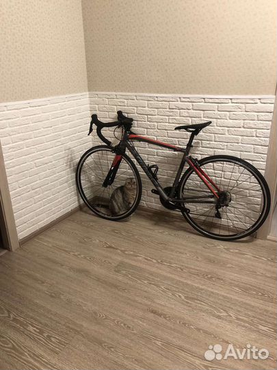 Шоссейный велосипед Willier Montegrappa 105 разм.S