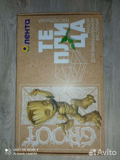 Теплица комнатная, набор для выращивания растений