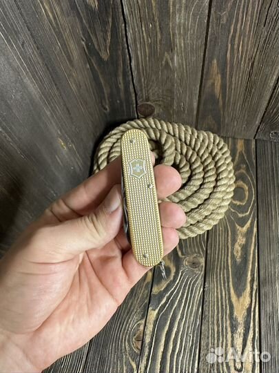 Victorinox cadet LE 2019