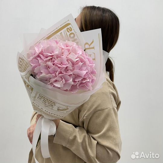 Гортензия / букет комплимент / Доставка цветов
