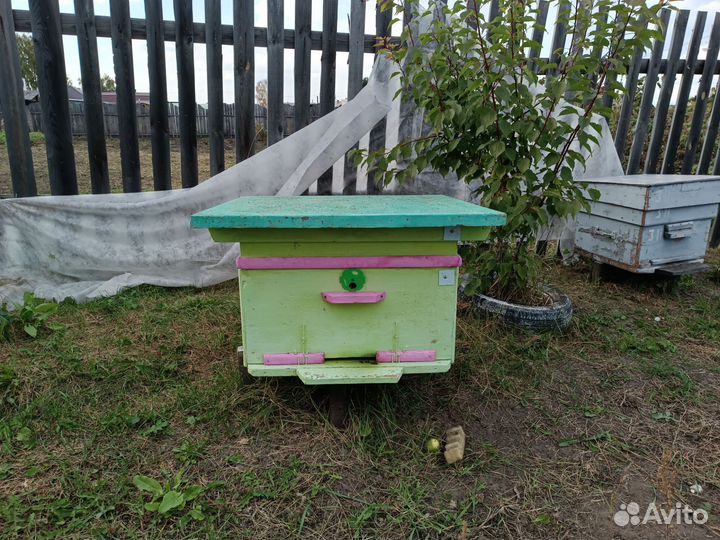 Продам пчелосемьи