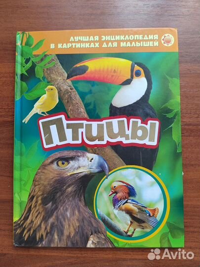 Книга Птицы