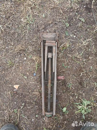 Домкрат волговский