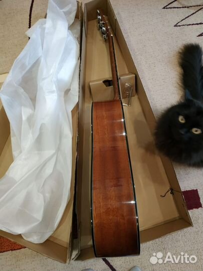 Акустическая гитара Fina FD-802