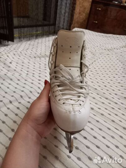 Фигурные коньки edea chorus 225