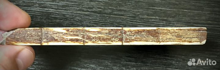 Пано бивень мамонта СССР, ручная роспись